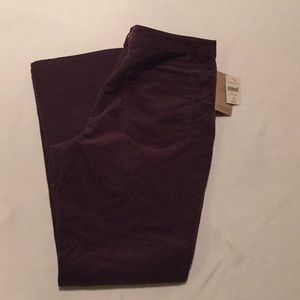 NWT Coldwater Creek Thin Corduroy Pants